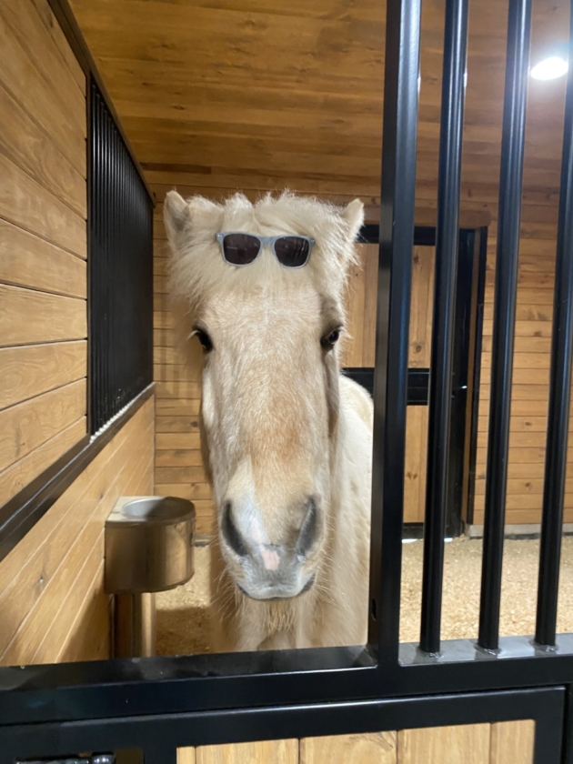 Sunglasses